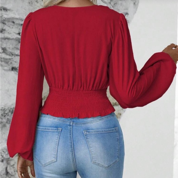 Elegant V-Neck Cropped Long Sleeve Ruched Smocked Top Blouse Shirt - Picture 16 of 16